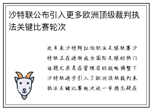 沙特联公布引入更多欧洲顶级裁判执法关键比赛轮次 沙特联公布引入更多欧洲顶级裁判执法关键比赛轮次